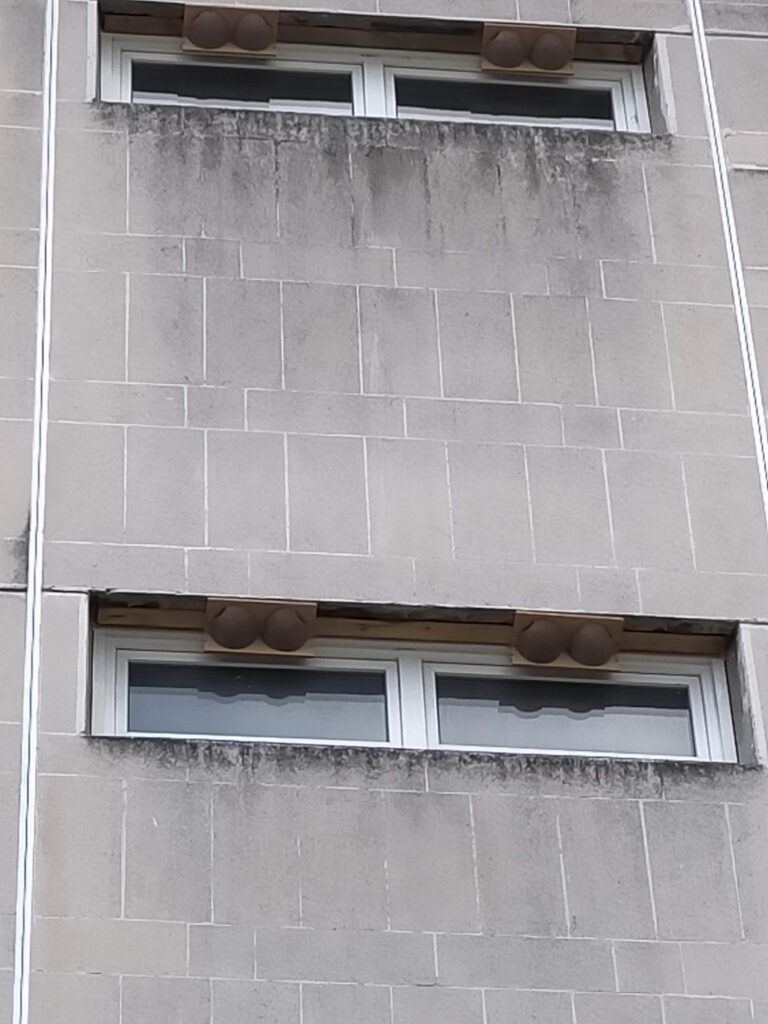 Les nichoirs à hirondelles sont installés sur la façade du bâtiment E.